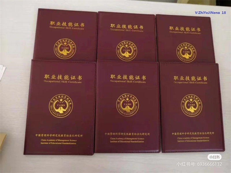 证件制作前需要准备哪些材料?一文讲清楚